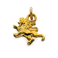 #29 Chapter Parliamentarian Dangle #29 Chapter Parliamentarian Dangle