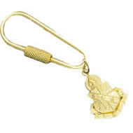 GP Oval Keyring with Plain Fob GP Oval Keyring with Plain Fob
