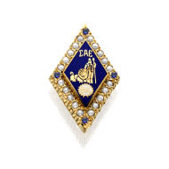 Sae Badge